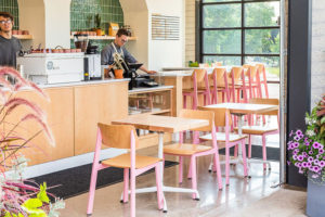 Sadie Restaurant Chair in Pink and Natural in modern coffee shop