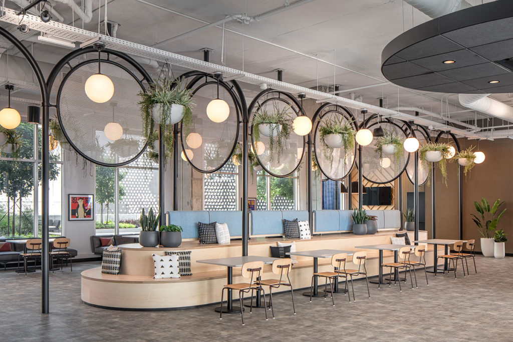 Row of Reece Chairs in university dining space.